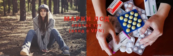 ALPHA PVP Белокуриха